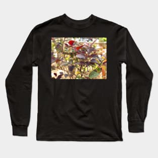 Beautiful Red Leaves Long Sleeve T-Shirt